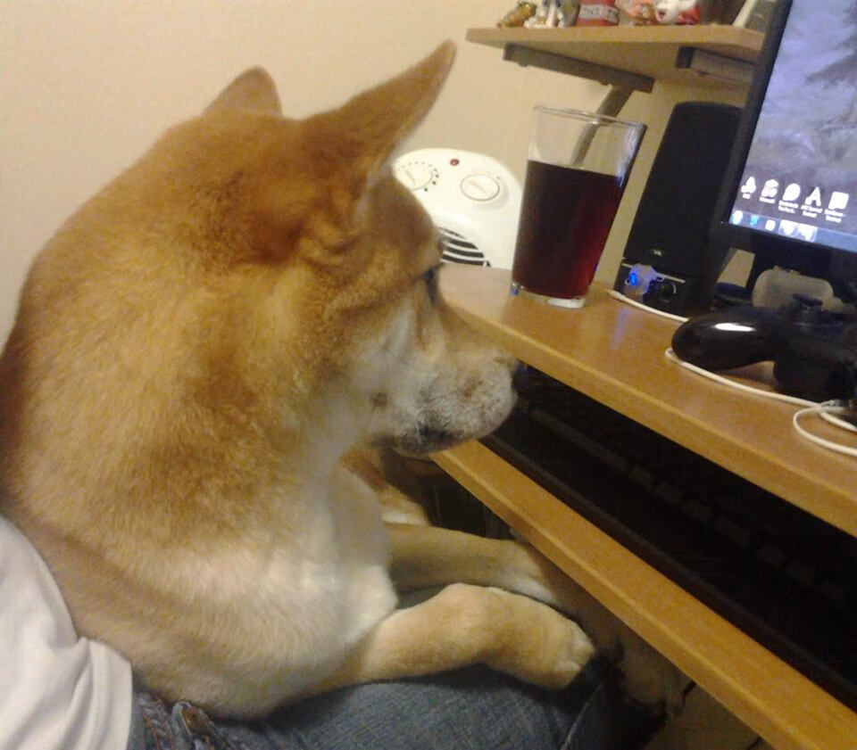 引擎的轰鸣与球场的呐喊，当F1银箭划破巴林夜空，国足在里斯本改写历史