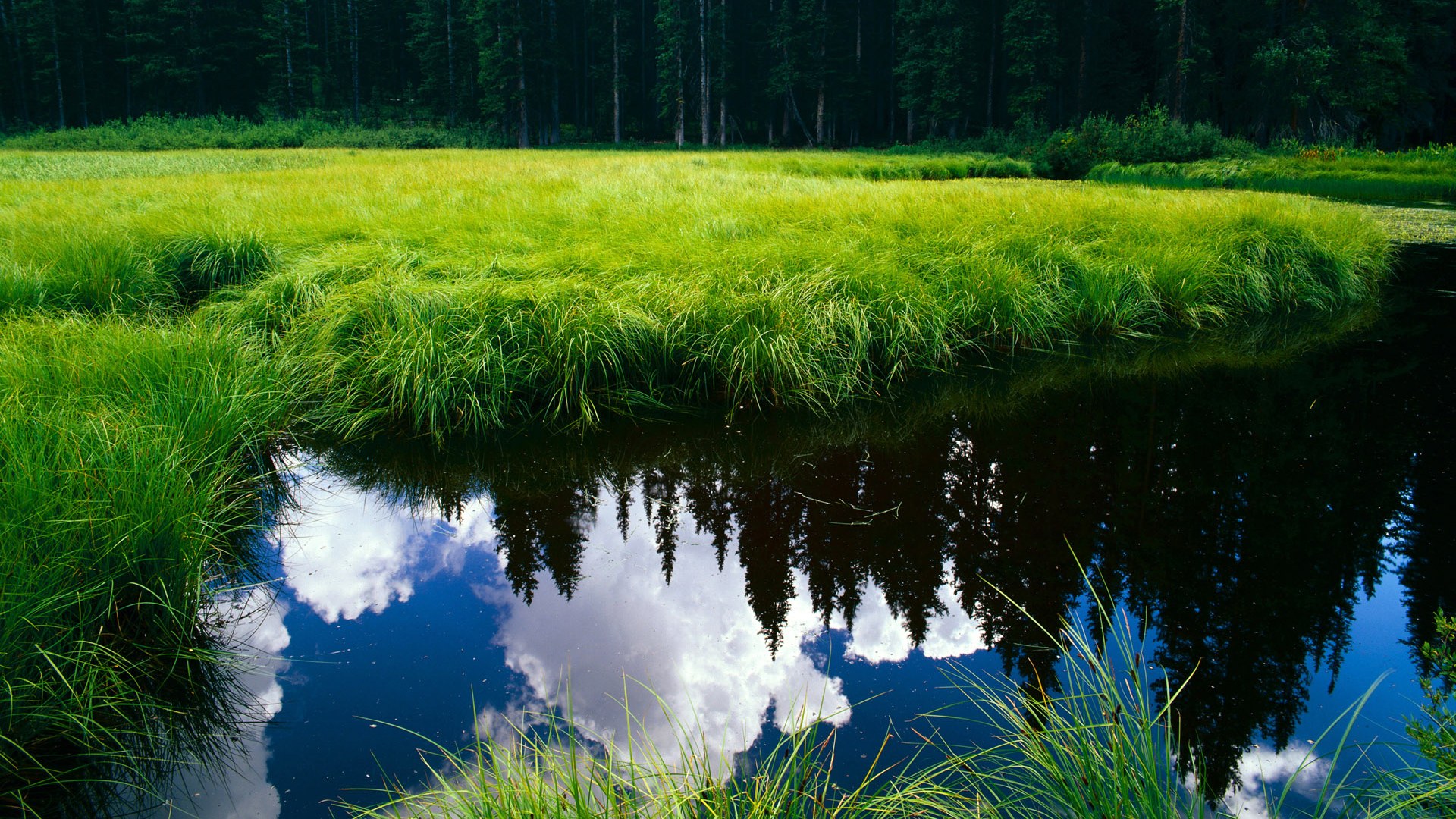 平行宇宙的篮球交响，当新疆飞虎撕裂金州防线，乔治奏响命运变奏曲