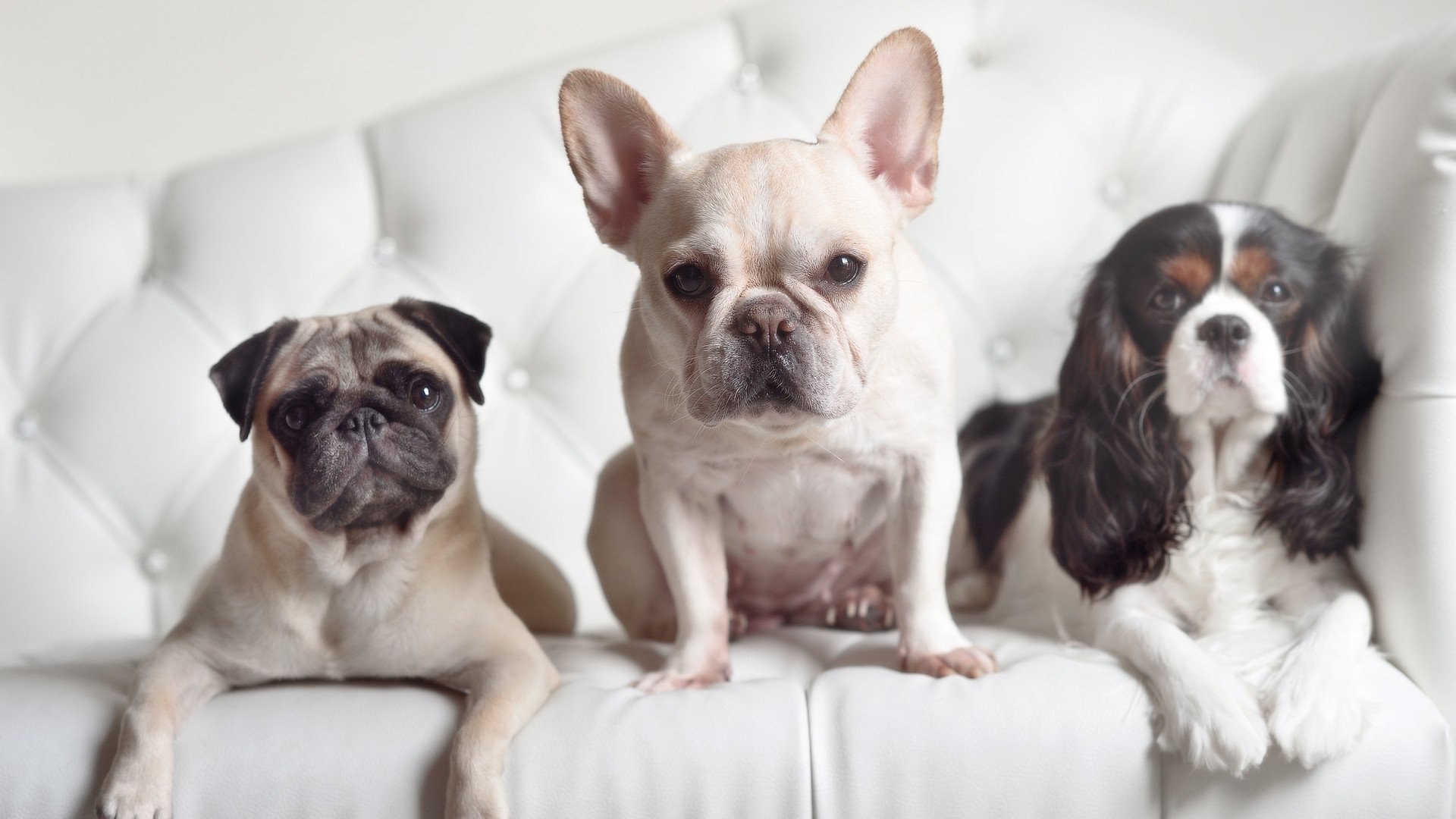 德罗赞制胜一击定乾坤，尼克斯激战险胜上海队