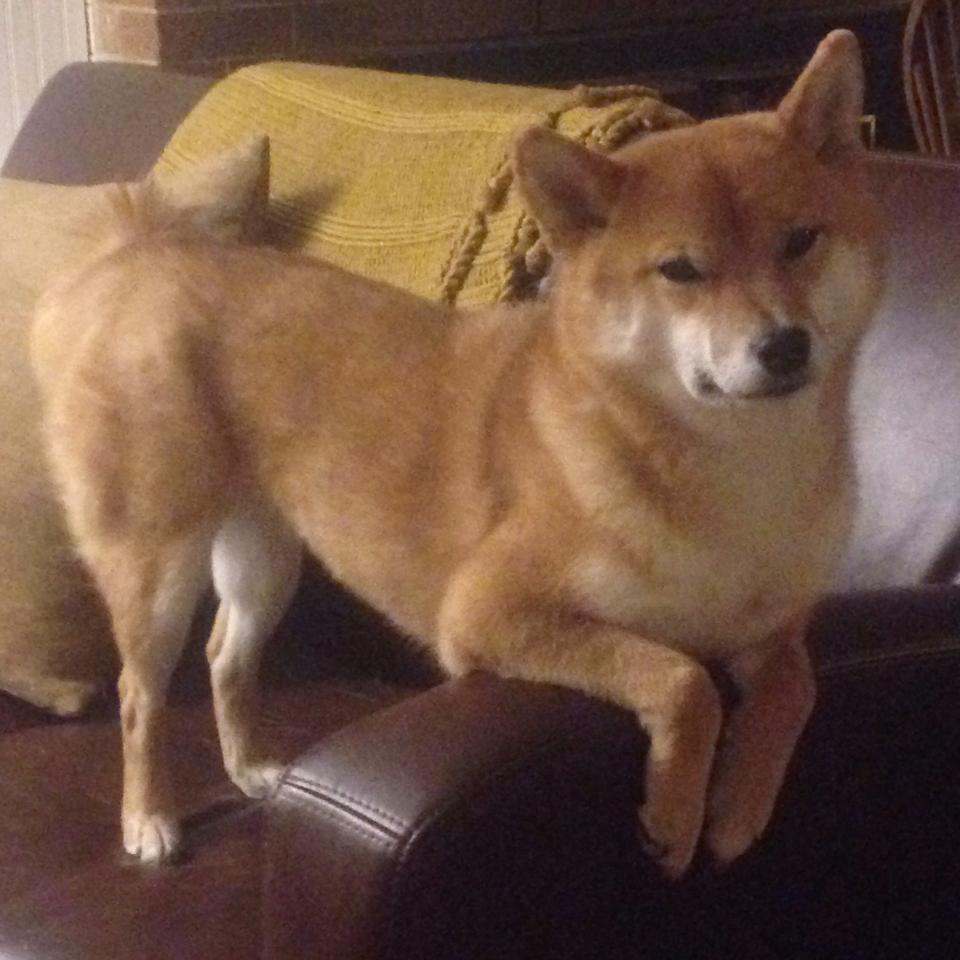 多年后我们谈论完美,依然会回到2026年那个夜晚