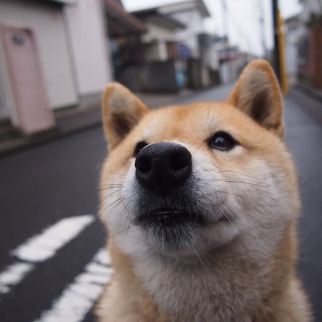 平凡英雄的加冕礼，布伦森用一场东决封神战，为所有被低估的灵魂正名