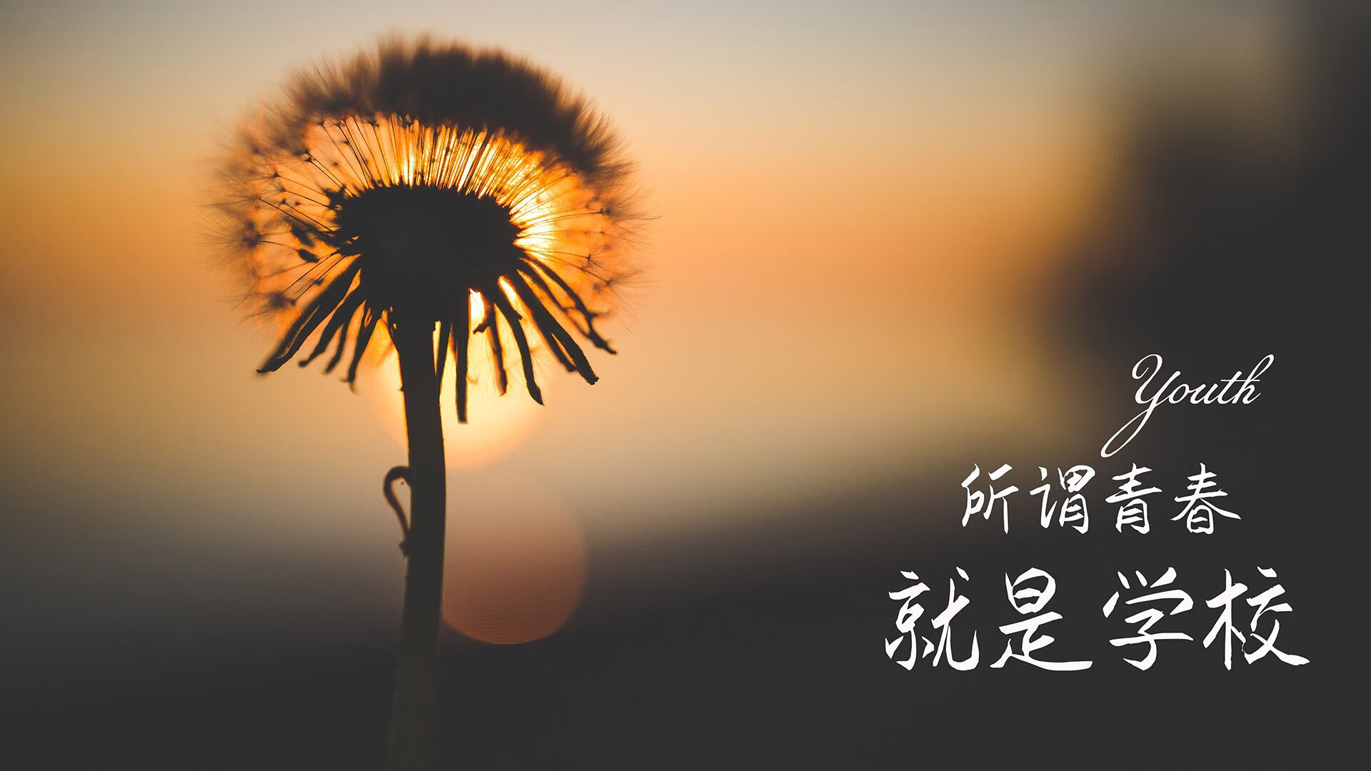 2026,C组的唯一性悖论,当潘帕斯雄鹰压制了东方奇迹,C罗用不属于此世的一剑,刺穿了平行宇宙