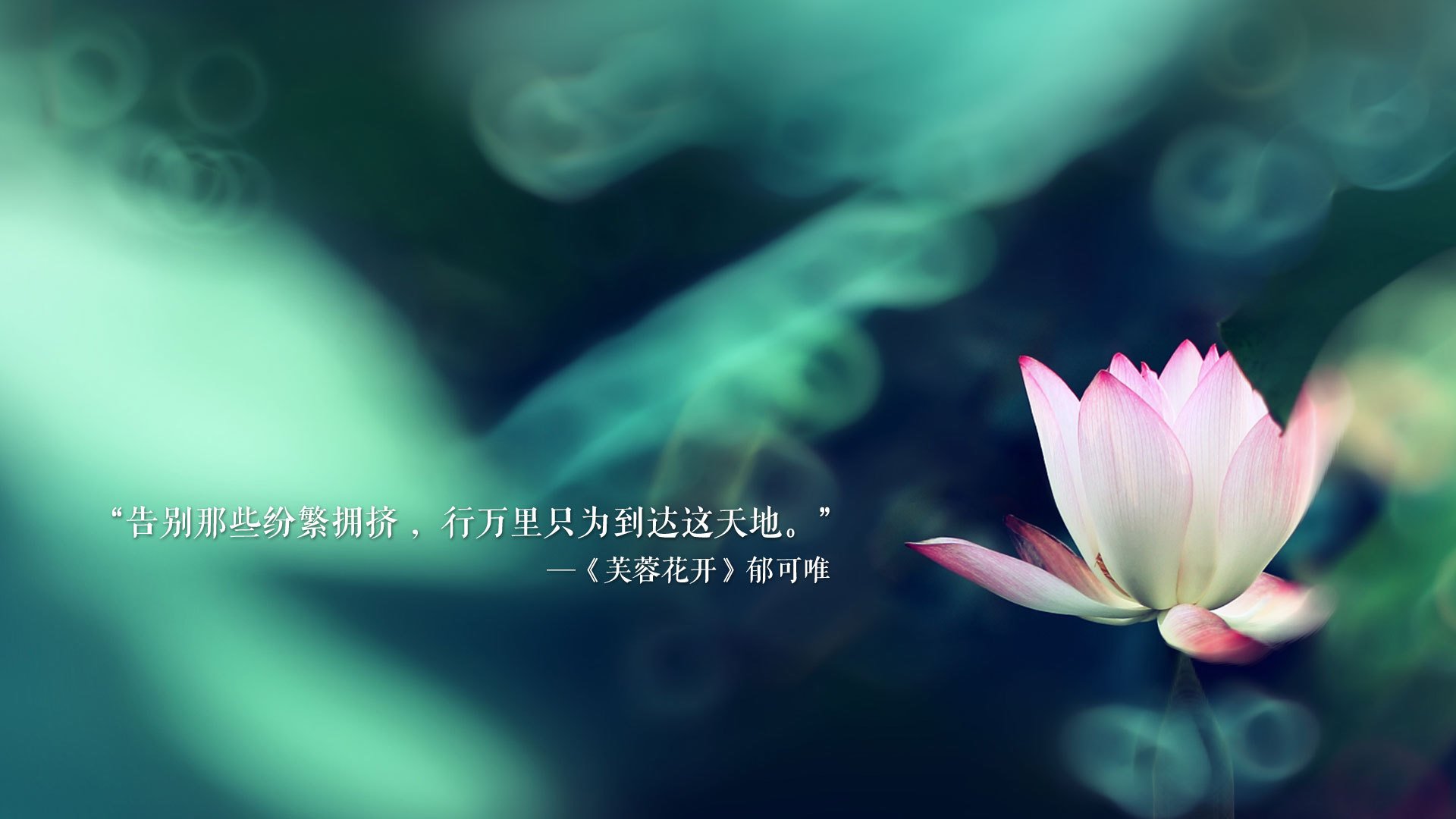 基于此，我为你构思了标题与正文